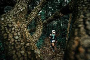 BIB: 
                            <button type="button" onclick="openModal(25696743)" class="btn btn-primary btn-sm float-right btn-popup" data-toggle="modal" data-target=".modal-high-quality">
                        <i class="fas fa-shopping-cart"></i> Add to Cart
                    </button>
                                            <button type="button" onclick="isThisMe(25696743, true)" class="btn btn-success btn-sm float-right btn-popup btn-isme hidden" data-toggle="tooltip" data-placement="bottom" title="นี่คือรูปของคุณใช่ไหม คลิกที่นี่เพื่อเอาเข้าอัลบั้ม">
                        <i class="fas fa-plus"></i> Add to album
                    </button>
                    <button type="button" onclick="isThisMe(25696743, false)" class="btn btn-warning btn-sm float-right btn-popup btn-isnotme hidden">
                        <i class="fas fa-ban"></i> Remove from album
                    </button>